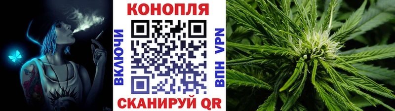 Бошки марихуана гибрид  цена   Буй 